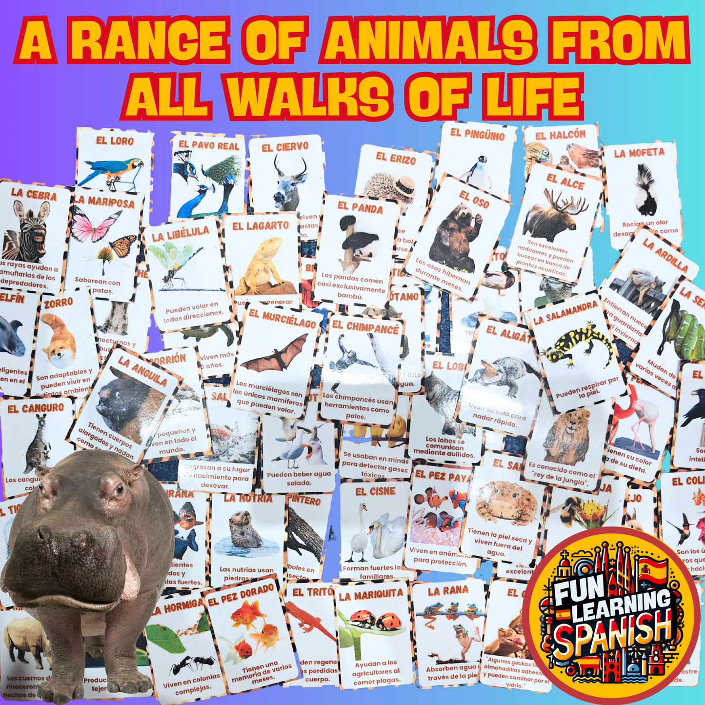 <tc>Paquete de tarjetas didácticas en español de Animales Locos en inglés (64 tarjetas) ¡Aprende animales y datos divertidos en inglés! Para aprendizaje + revisión</tc>