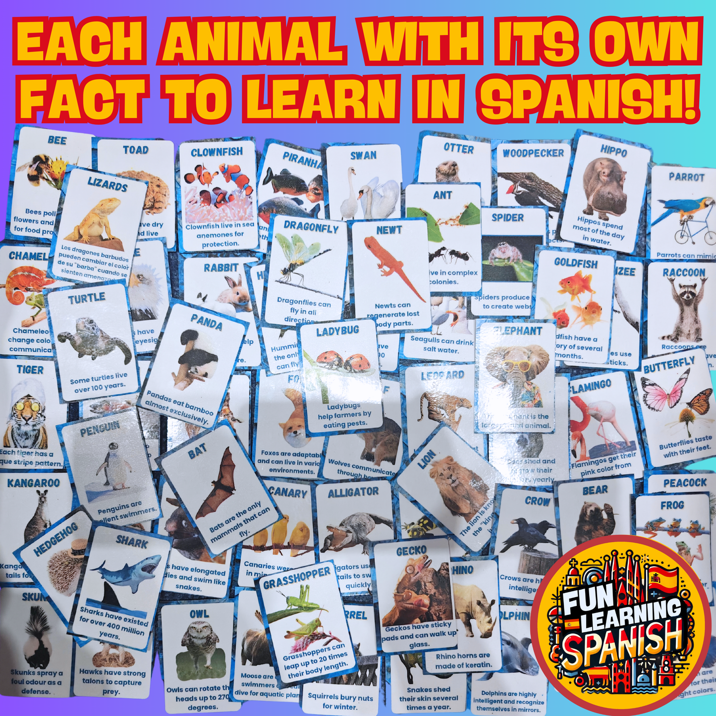 <tc>Paquete de tarjetas didácticas en español de Animales Locos en inglés (64 tarjetas) ¡Aprende animales y datos divertidos en inglés! Para aprendizaje + revisión</tc>