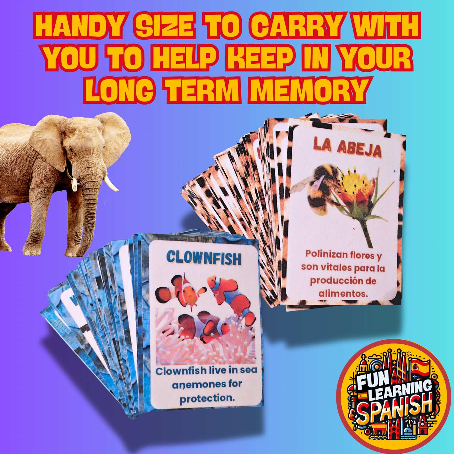 Animal Madness Digital Flashcard Pack – 64 Animal Names and Facts PDF Printable Revision Cards