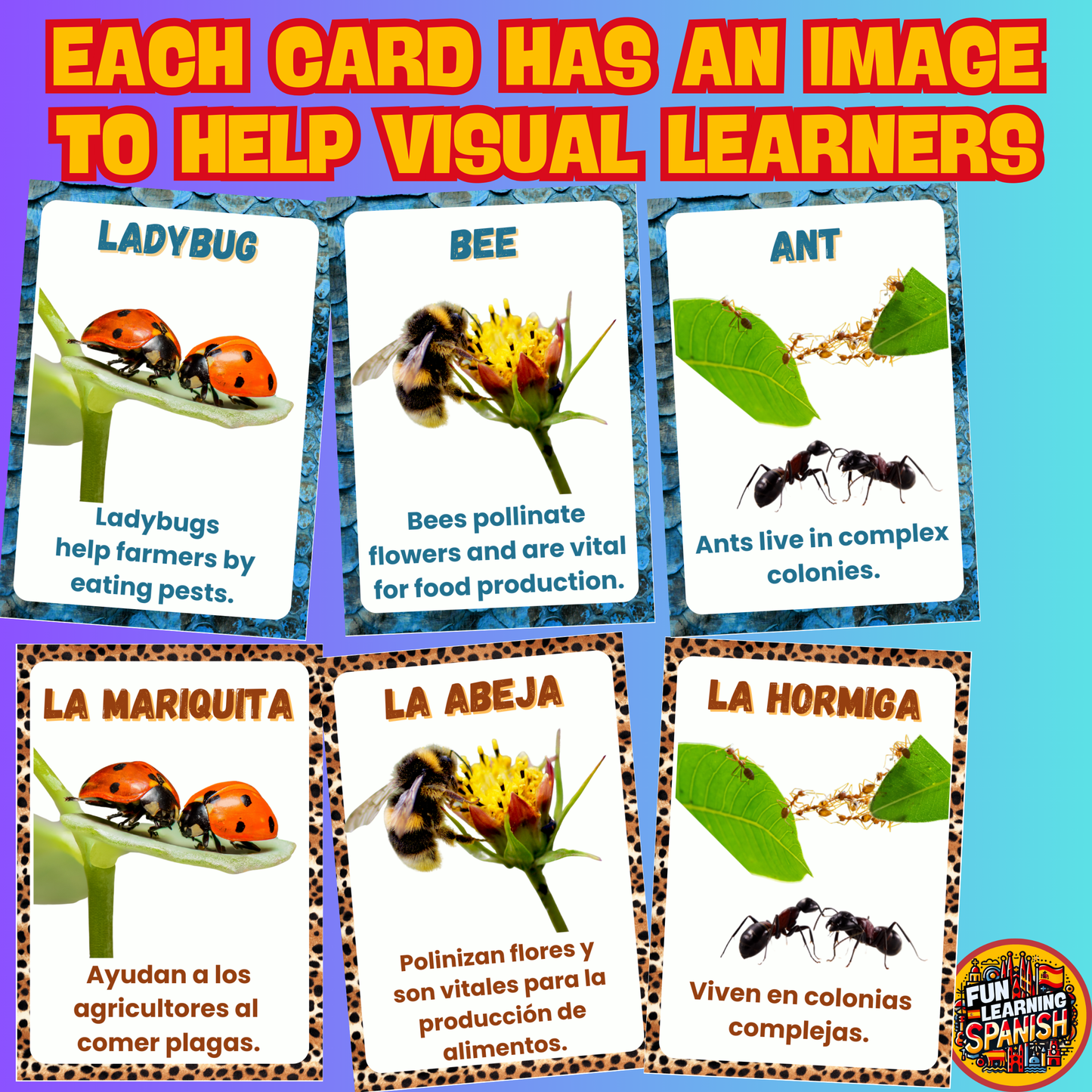 <tc>Paquete de tarjetas didácticas en español de Animales Locos en inglés (64 tarjetas) ¡Aprende animales y datos divertidos en inglés! Para aprendizaje + revisión</tc>