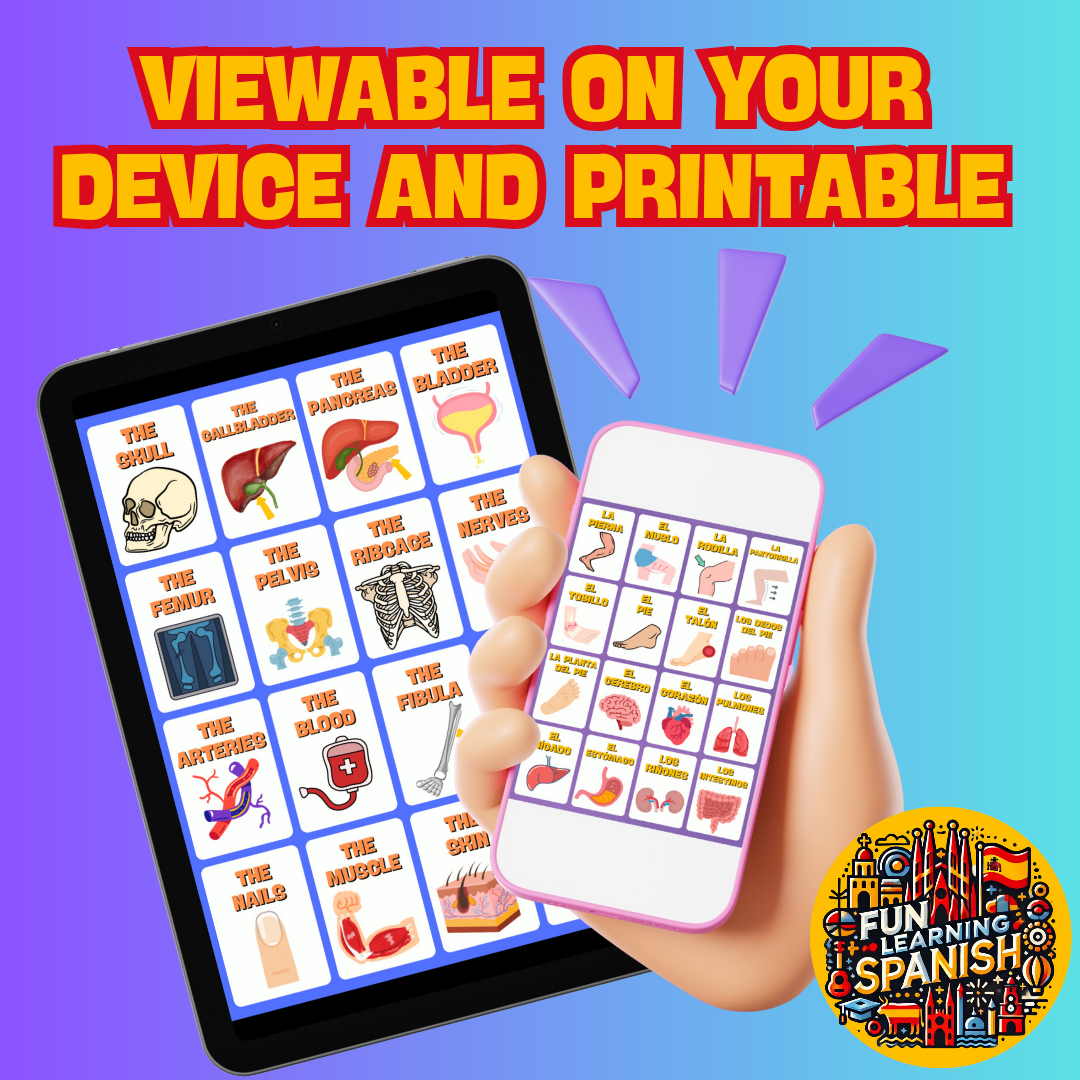 (Digital Download) Anatomy / Human Body In Spanish Digital Flashcard Pack - 64 Printer Ready Pack & Viewable On Any Device
