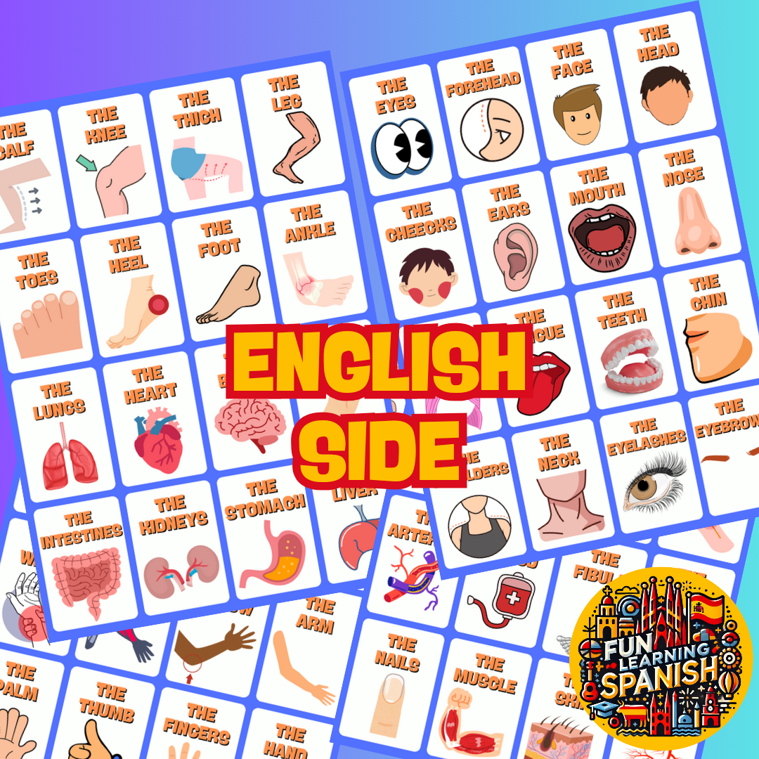 Paquete de 64 tarjetas didácticas de anatomía: partes del cuerpo en español e inglés, herramientas de aprendizaje de doble cara