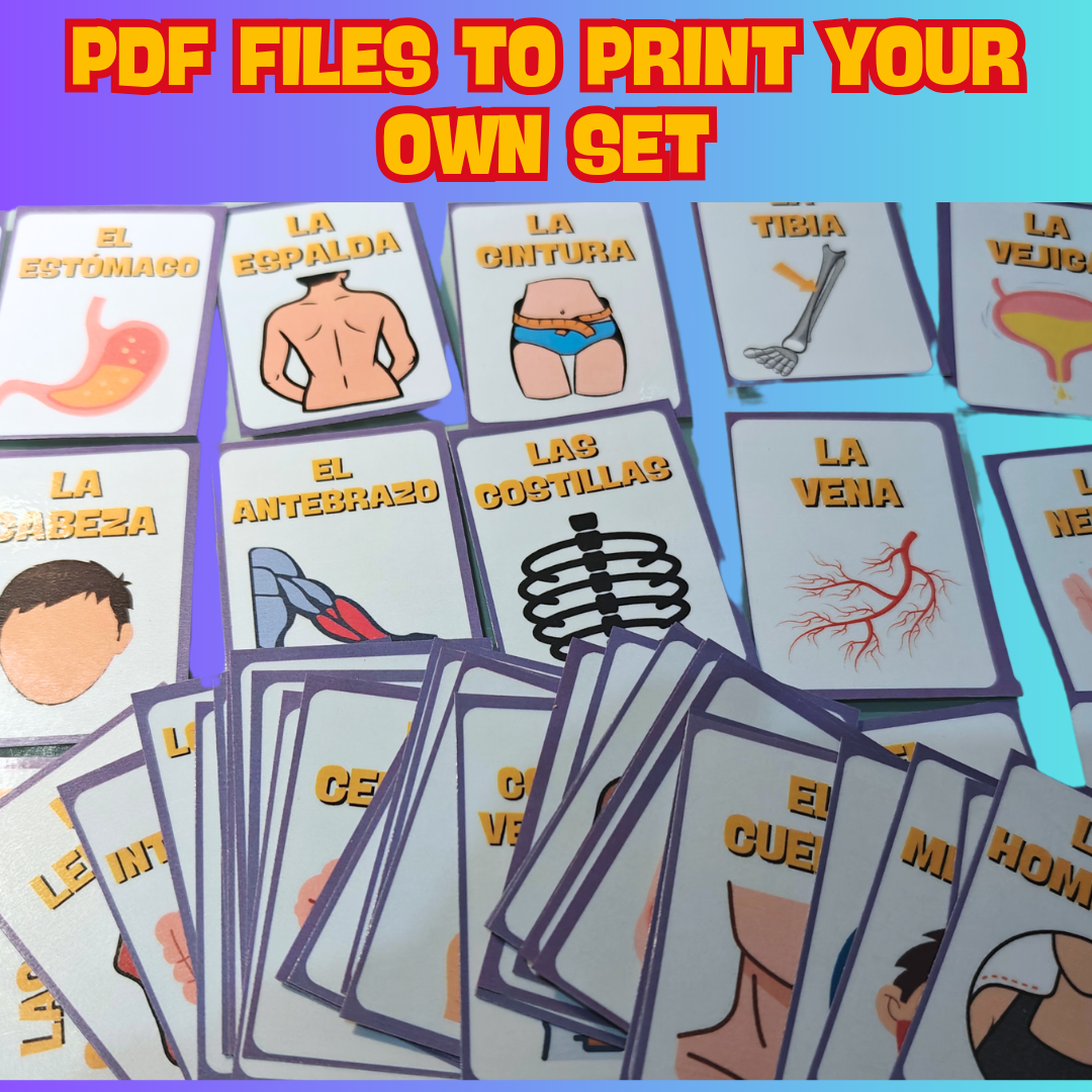 (Digital Download) Anatomy / Human Body In Spanish Digital Flashcard Pack - 64 Printer Ready Pack & Viewable On Any Device