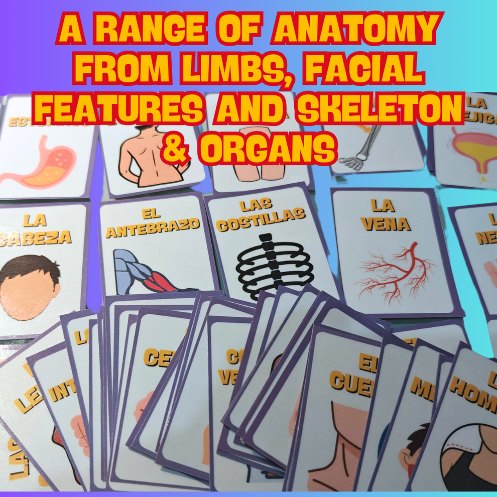 Anatomy + Human Body In Spanish Digital Flashcard Download Pack - 64 Printer Ready Pack ...