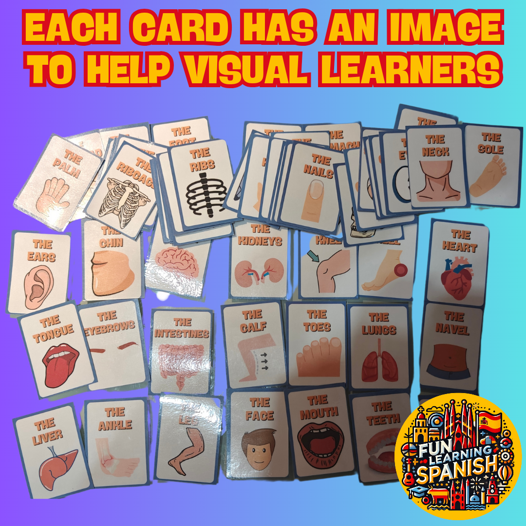 (Digital Download) Anatomy / Human Body In Spanish Digital Flashcard Pack - 64 Printer Ready Pack & Viewable On Any Device