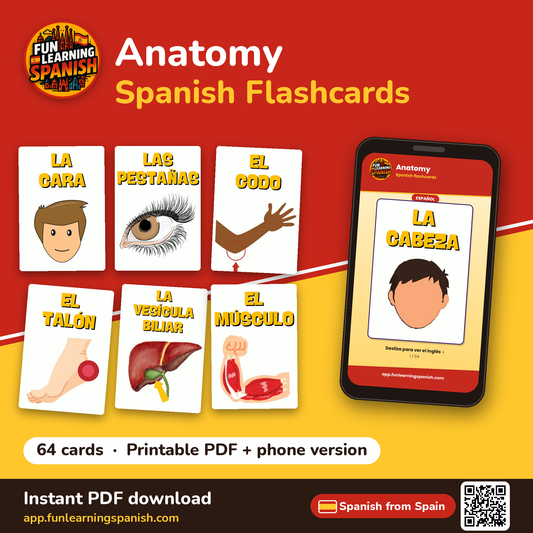 Anatomy Spanish flashcards from Spain – printable PDF and phone version